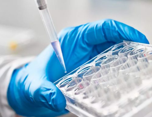 Lenacapavir Argentina: Fundación GEP presenta nueva oposición a solicitud de patente de Gilead.