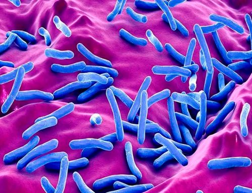 Tuberculosis en Argentina: Fundación GEP se opone al monopolio sobre pretomanid